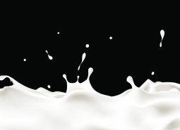 蘭州城關區35㎡乳品冷庫安裝工程