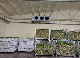 定西市岷縣138平米蔬菜保鮮庫安裝工程-萬能制冷